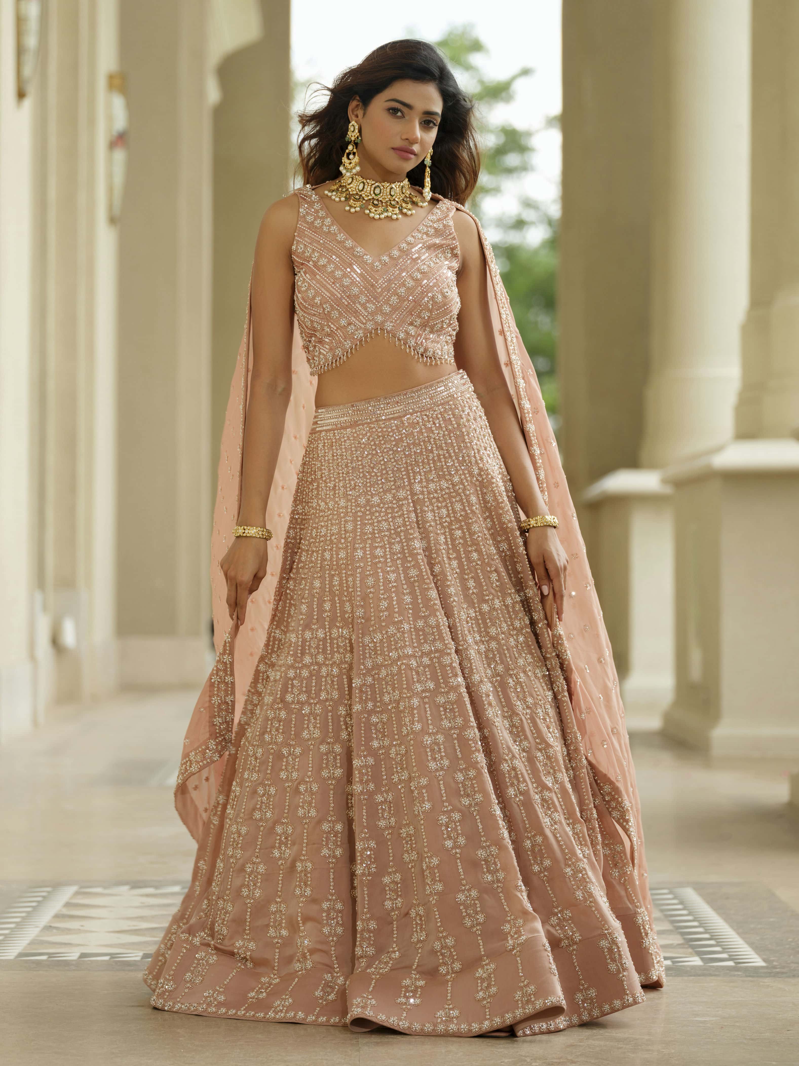 Beige Organza Lehenga with Tissue Dupatta