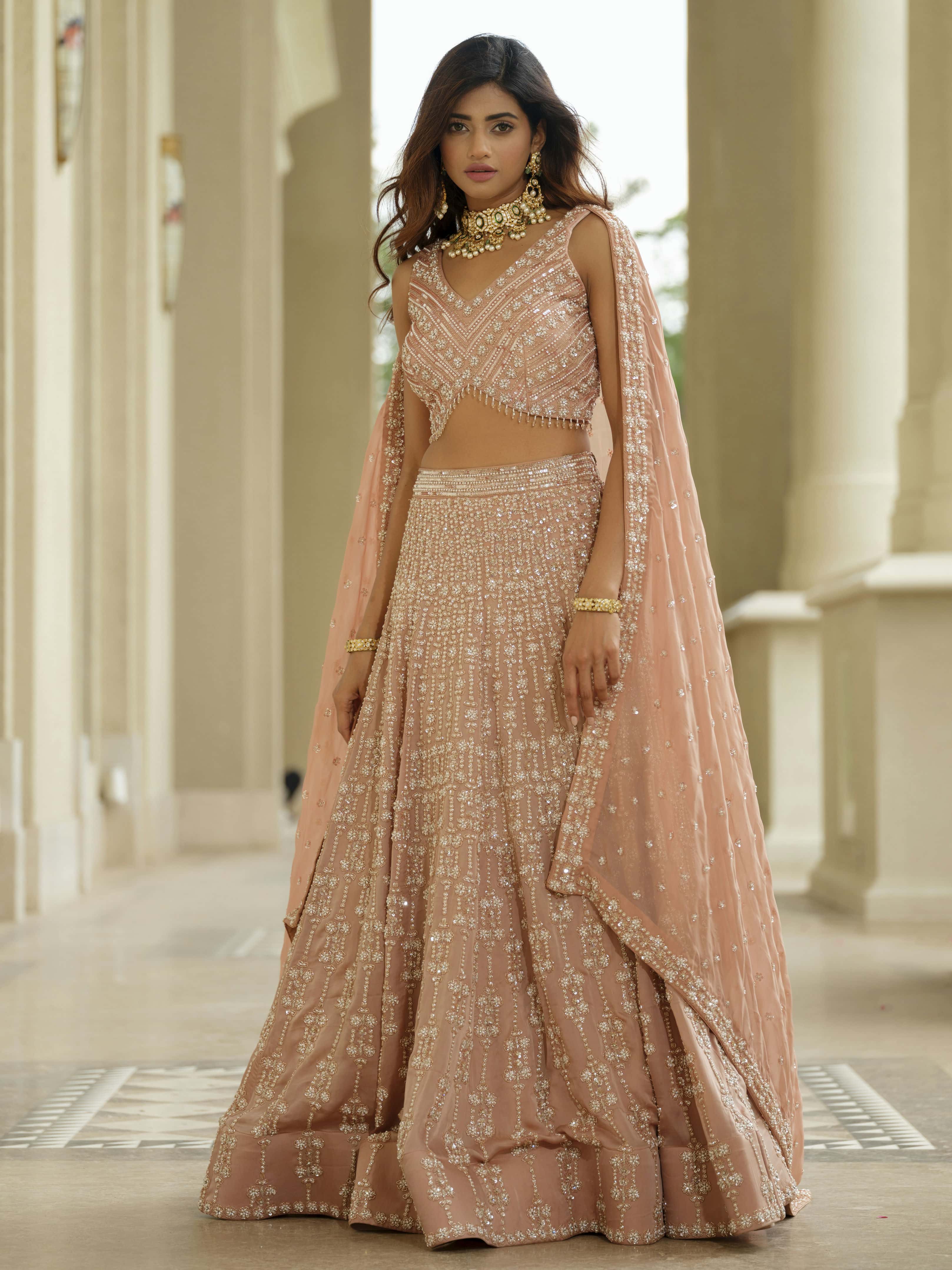 Beige Organza Lehenga with Tissue Dupatta