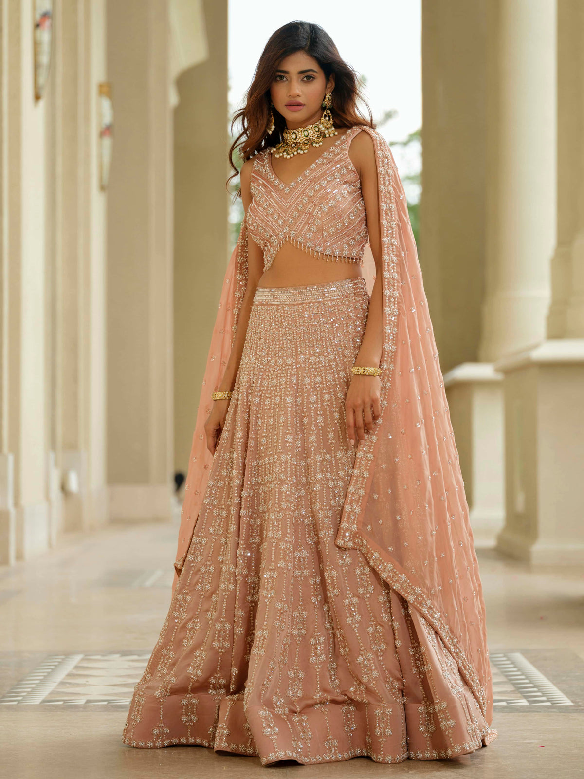 Beige Organza Lehenga with Tissue Dupatta