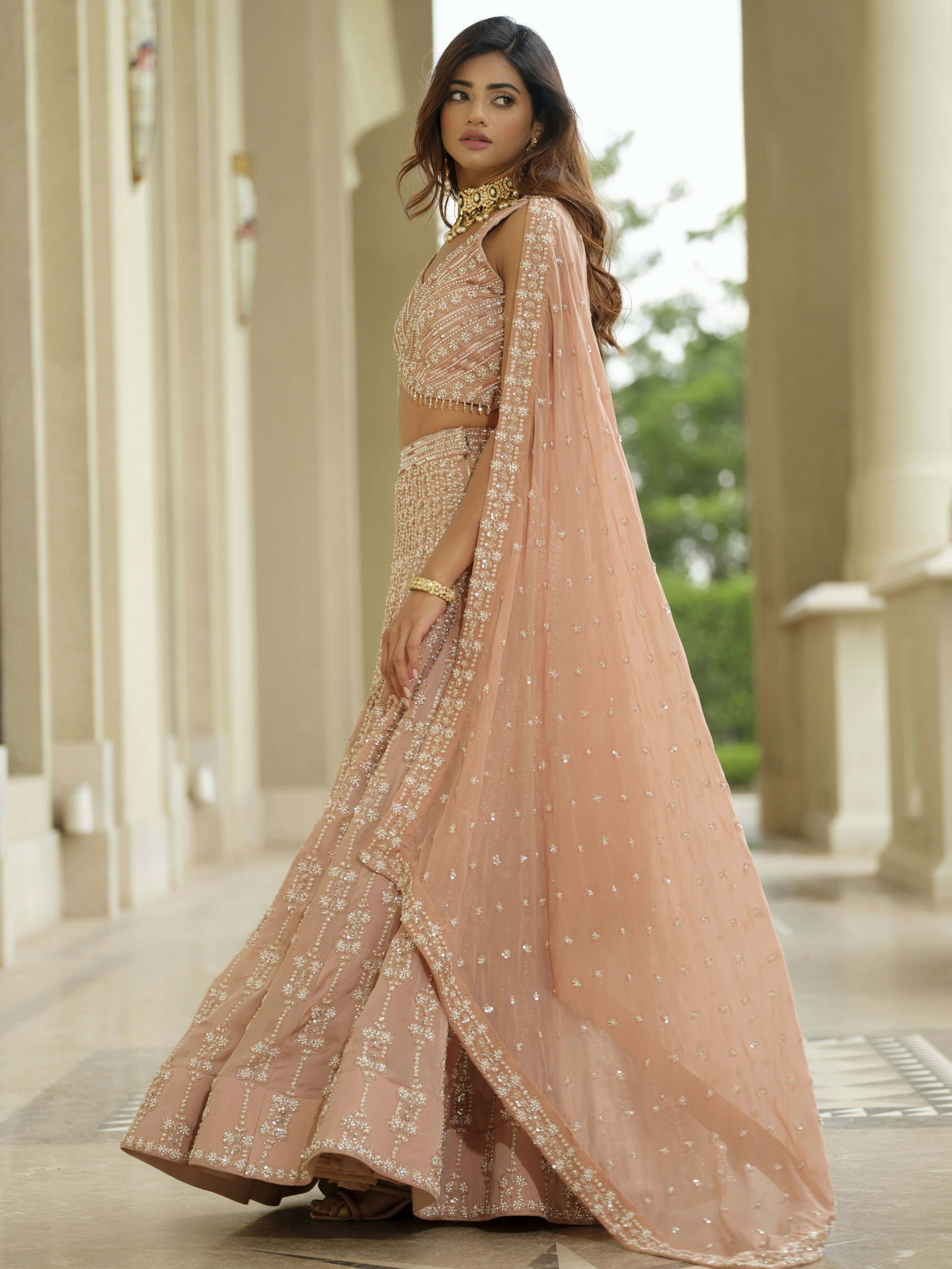 Beige Organza Lehenga with Tissue Dupatta