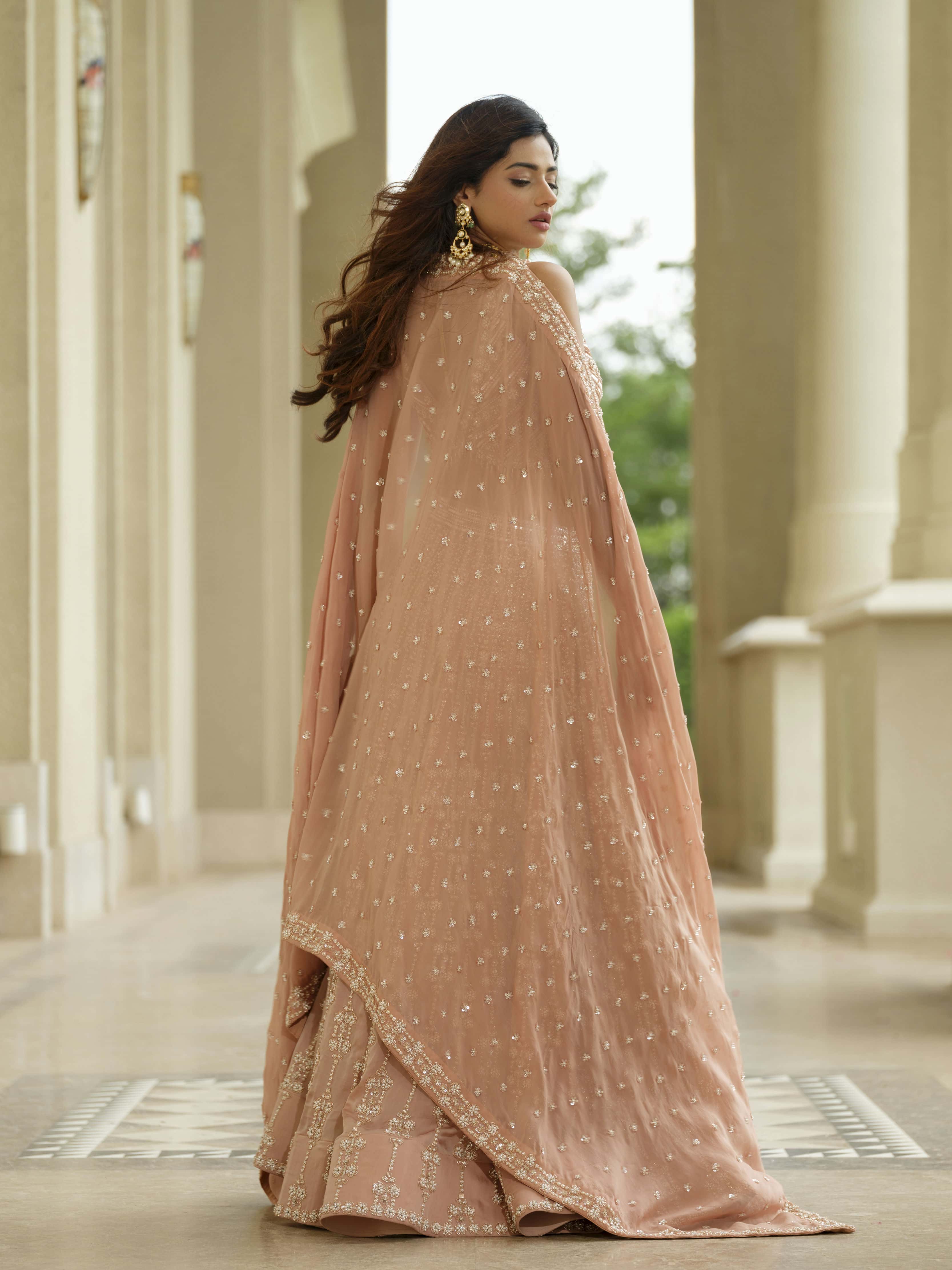 Beige Organza Lehenga with Tissue Dupatta
